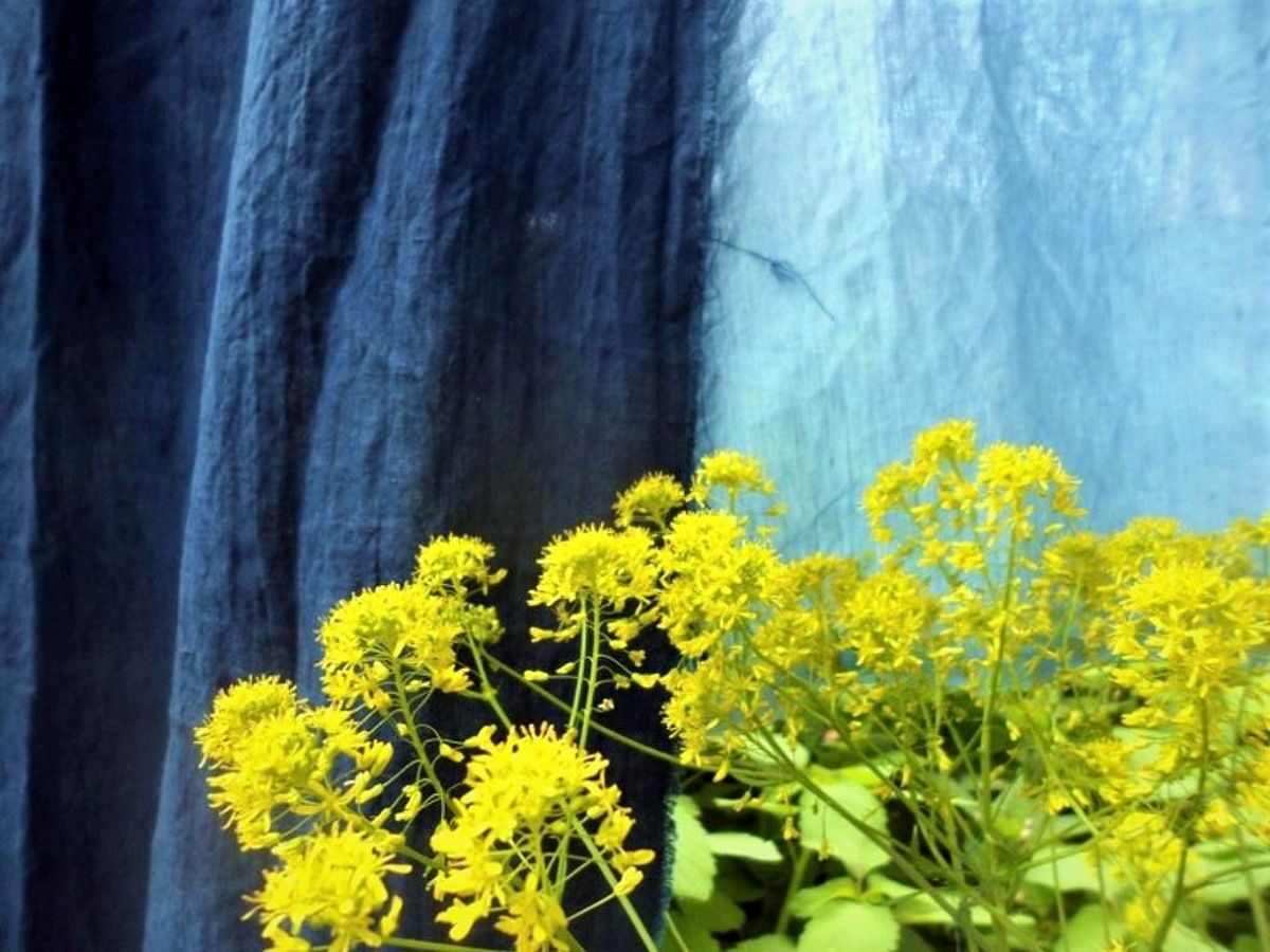 Bảo tàng Terre de Pastel tại Toulouse